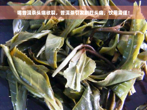 喝普洱茶头痛欲裂，普洱茶引发剧烈头痛，饮用需谨！