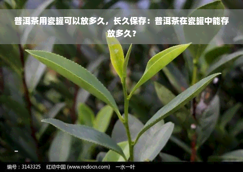 普洱茶用瓷罐可以放多久，长久保存：普洱茶在瓷罐中能存放多久？