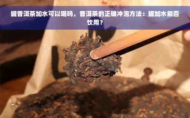 罐普洱茶加水可以喝吗，普洱茶的正确冲泡方法：罐加水能否饮用？