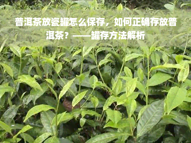 普洱茶放瓷罐怎么保存，如何正确存放普洱茶？——罐存方法解析