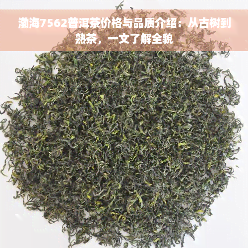 渤海7562普洱茶价格与品质介绍：从古树到熟茶，一文了解全貌