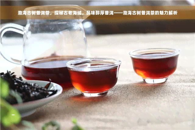 渤海古树普洱茶，探秘古老海域，品味醇厚普洱——渤海古树普洱茶的魅力解析