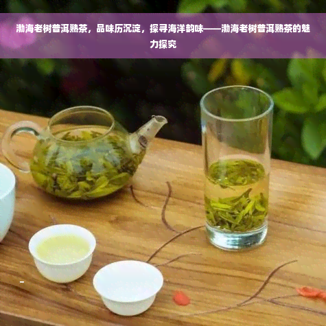 渤海老树普洱熟茶，品味历沉淀，探寻海洋韵味——渤海老树普洱熟茶的魅力探究