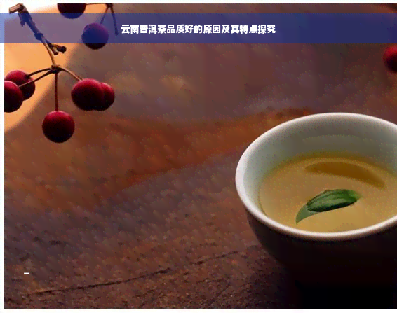 云南普洱茶品质好的原因及其特点探究