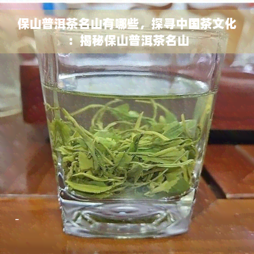 保山普洱茶名山有哪些，探寻中国茶文化：揭秘保山普洱茶名山