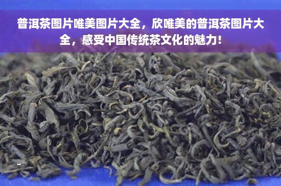 普洱茶图片唯美图片大全，欣唯美的普洱茶图片大全，感受中国传统茶文化的魅力！