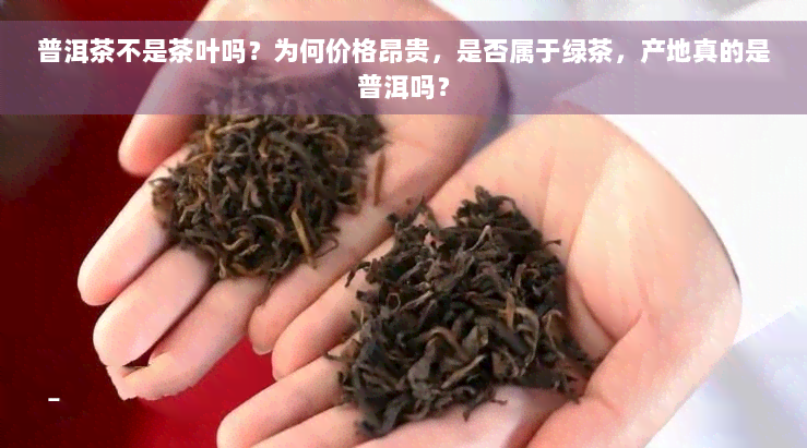 普洱茶不是茶叶吗？为何价格昂贵，是否属于绿茶，产地真的是普洱吗？