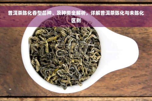 普洱茶陈化香型品种、及种类全解析，详解普洱茶陈化与未陈化区别