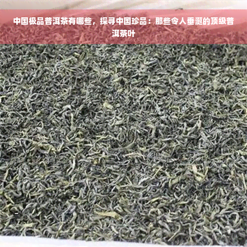 中国极品普洱茶有哪些，探寻中国珍品：那些令人垂涎的顶级普洱茶叶