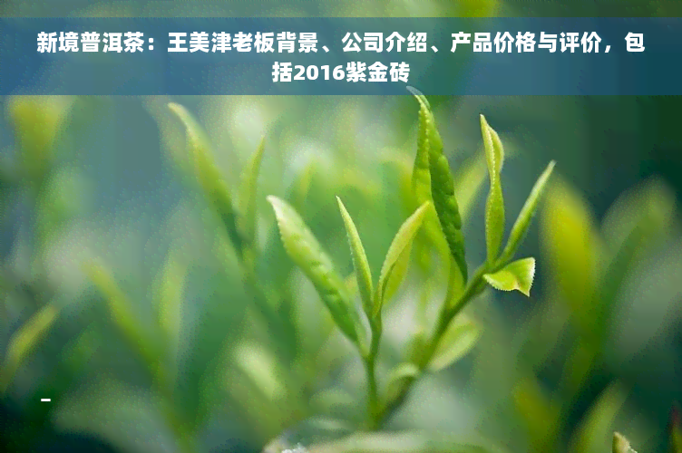新境普洱茶：王美津老板背景、公司介绍、产品价格与评价，包括2016紫金砖
