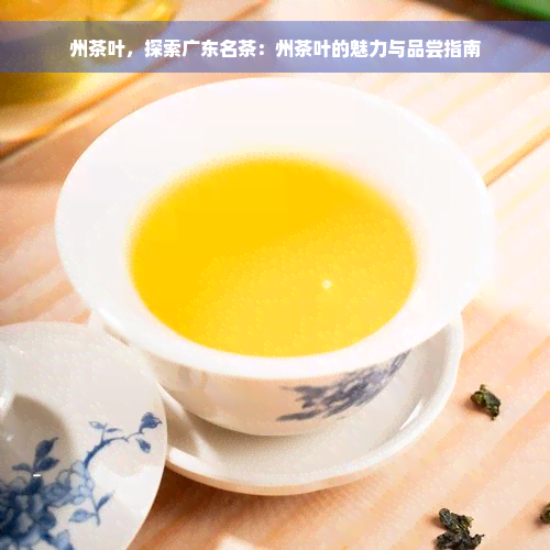 州茶叶，探索广东名茶：州茶叶的魅力与品尝指南