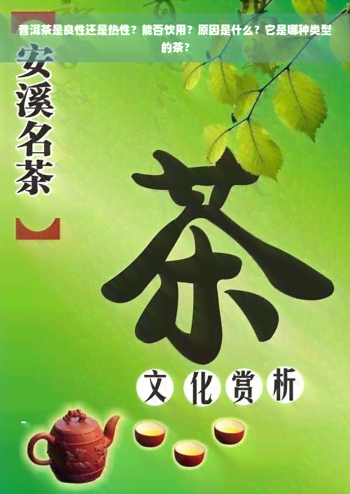 普洱茶是良性还是热性？能否饮用？原因是什么？它是哪种类型的茶？