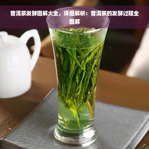 普洱茶发酵图解大全，详细解析：普洱茶的发酵过程全图解