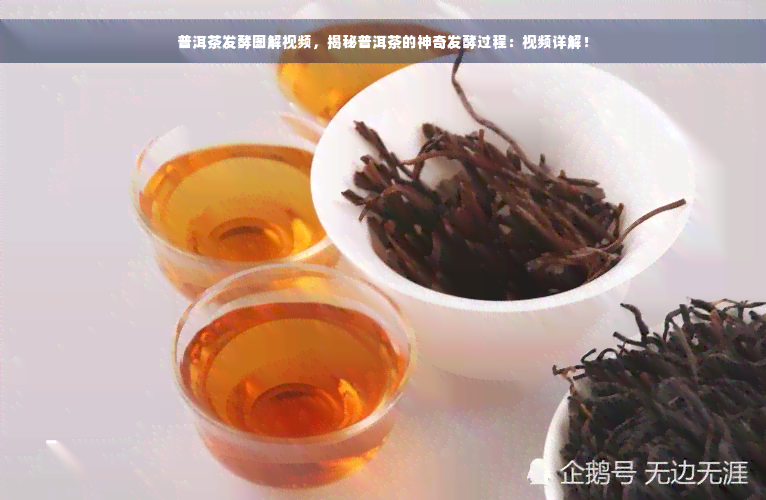 普洱茶发酵图解视频，揭秘普洱茶的神奇发酵过程：视频详解！