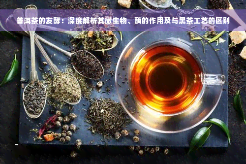 普洱茶的发酵：深度解析其微生物、酶的作用及与黑茶工艺的区别