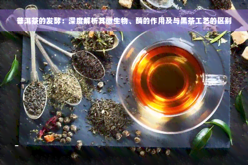 普洱茶的发酵：深度解析其微生物、酶的作用及与黑茶工艺的区别