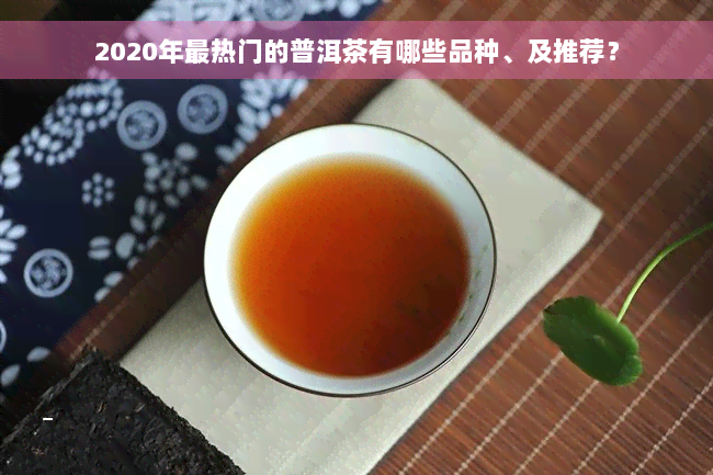 2020年最热门的普洱茶有哪些品种、及推荐？