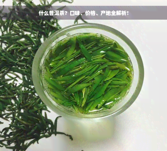 什么普洱茶？口味、价格、产地全解析！