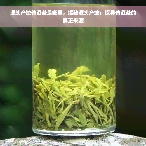 源头产地普洱茶是哪里，揭秘源头产地：探寻普洱茶的真正来源