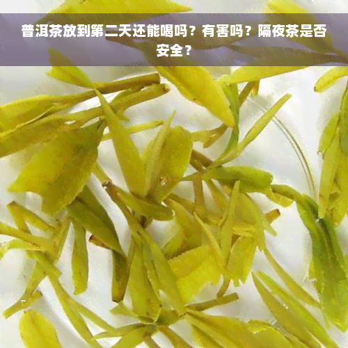 普洱茶放到第二天还能喝吗？有害吗？隔夜茶是否安全？