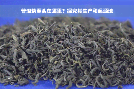 普洱茶源头在哪里？探究其生产和起源地