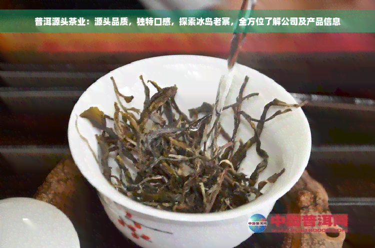 普洱源头茶业：源头品质，独特口感，探索冰岛老寨，全方位了解公司及产品信息