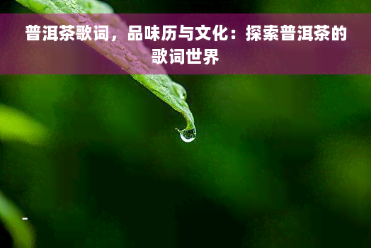 普洱茶歌词，品味历与文化：探索普洱茶的歌词世界