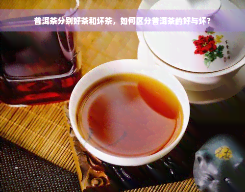 普洱茶分别好茶和坏茶，如何区分普洱茶的好与坏？