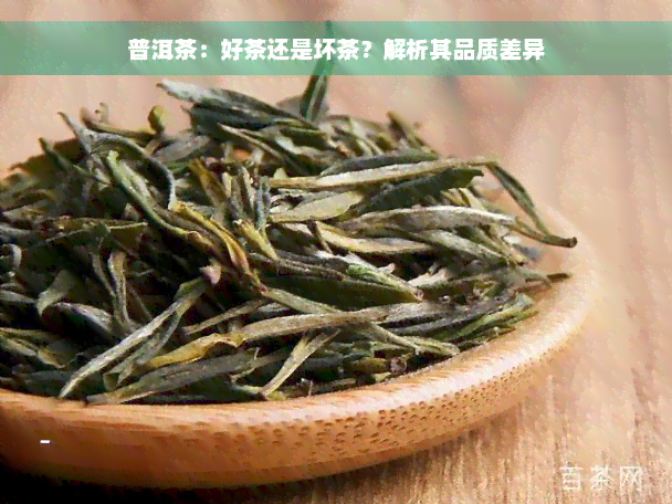 普洱茶：好茶还是坏茶？解析其品质差异