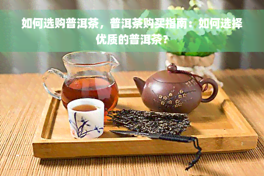 如何选购普洱茶，普洱茶购买指南：如何选择优质的普洱茶？