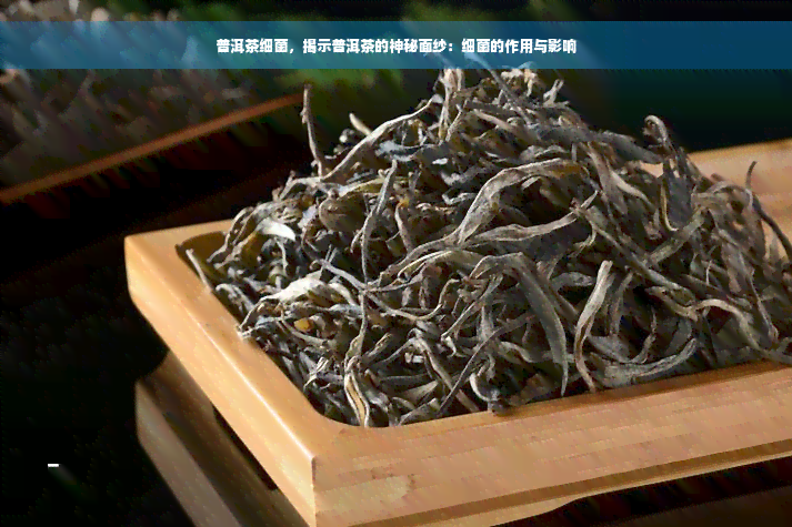 普洱茶细菌，揭示普洱茶的神秘面纱：细菌的作用与影响