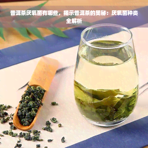 普洱茶厌氧菌有哪些，揭示普洱茶的奥秘：厌氧菌种类全解析