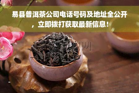 易县普洱茶公司电话号码及地址全公开，立即拨打获取最新信息！