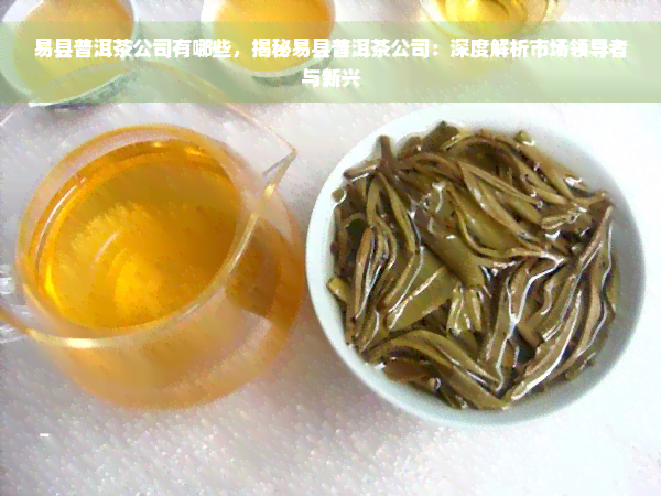 易县普洱茶公司有哪些，揭秘易县普洱茶公司：深度解析市场领导者与新兴