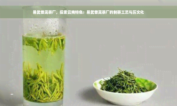 易武普洱茶厂，探索云南特色：易武普洱茶厂的制茶工艺与历文化