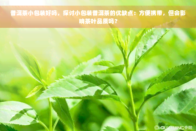 普洱茶小包装好吗，探讨小包装普洱茶的优缺点：方便携带，但会影响茶叶品质吗？