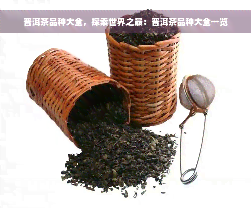 普洱茶品种大全，探索世界之最：普洱茶品种大全一览