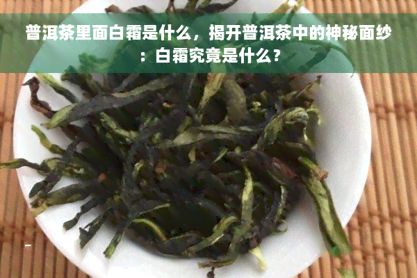 普洱茶里面白霜是什么，揭开普洱茶中的神秘面纱：白霜究竟是什么？