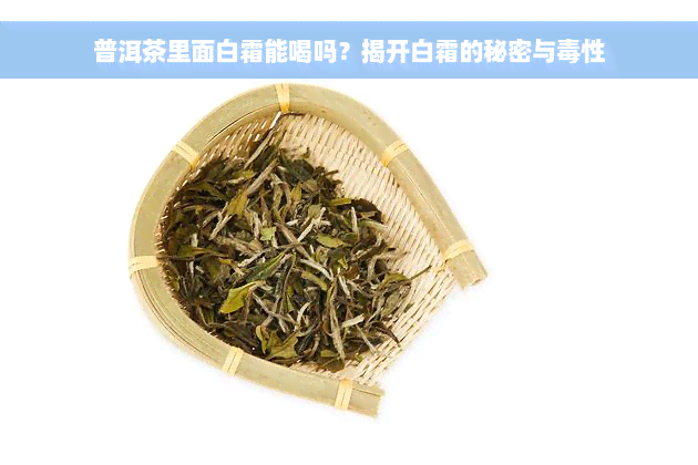 普洱茶里面白霜能喝吗？揭开白霜的秘密与毒性