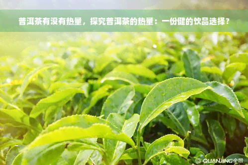 普洱茶有没有热量，探究普洱茶的热量：一份健的饮品选择？