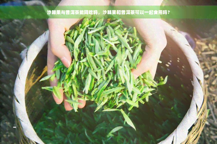 沙棘果与普洱茶能同吃吗，沙棘果和普洱茶可以一起食用吗？