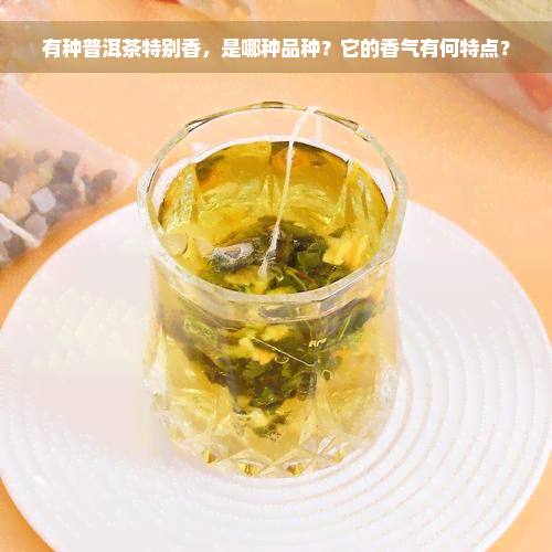 有种普洱茶特别香，是哪种品种？它的香气有何特点？