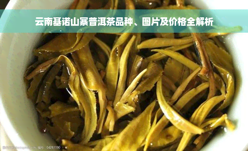云南基诺山寨普洱茶品种、图片及价格全解析