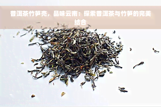 普洱茶竹笋壳，品味云南：探索普洱茶与竹笋的完美结合