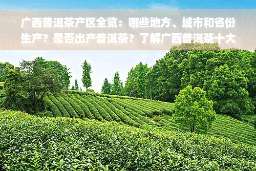 广西普洱茶产区全览：哪些地方、城市和省份生产？是否出产普洱茶？了解广西普洱茶十大名牌及茶叶场！