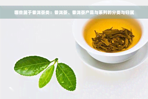 哪些属于普洱茶类：普洱茶、普洱茶产品与系列的分类与归属