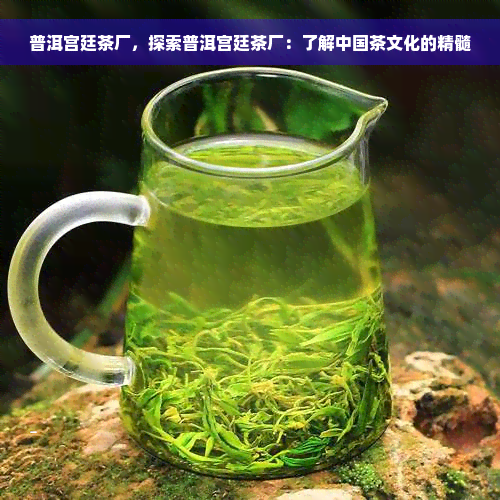 普洱宫廷茶厂，探索普洱宫廷茶厂：了解中国茶文化的精髓
