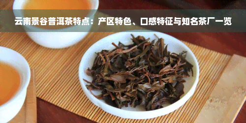云南景谷普洱茶特点：产区特色、口感特征与知名茶厂一览
