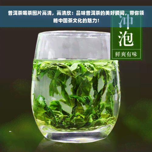 普洱茶喝茶图片高清，高清欣：品味普洱茶的美好瞬间，带你领略中国茶文化的魅力！