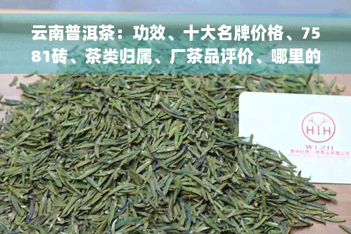 云南普洱茶：功效、十大名牌价格、7581砖、茶类归属、厂茶品评价、哪里的茶？